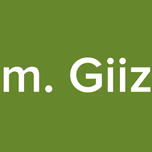 Fm. Giiza