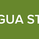 CANAGUA STEREO