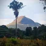 Alto Bhakti