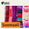 How to answer the 2026 Census English proficiency question | Bonus episode - Learn English: Sida looga jawaabo su'aasha aqoonta Ingiriisiga ee Tirakoobka Dadweynaha 2026