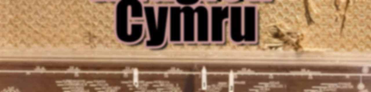 Rhaglen Cymru