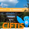 China's services trade fair showcases the value of openness