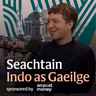 Dublin’s new Gaeilge quarter: An fear taobh thiar den fhís