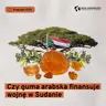 Czy guma arabska finansuje wojnę w Sudanie (Dział Zagraniczny Podcast#275)