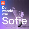 Oplossing zkt probleem