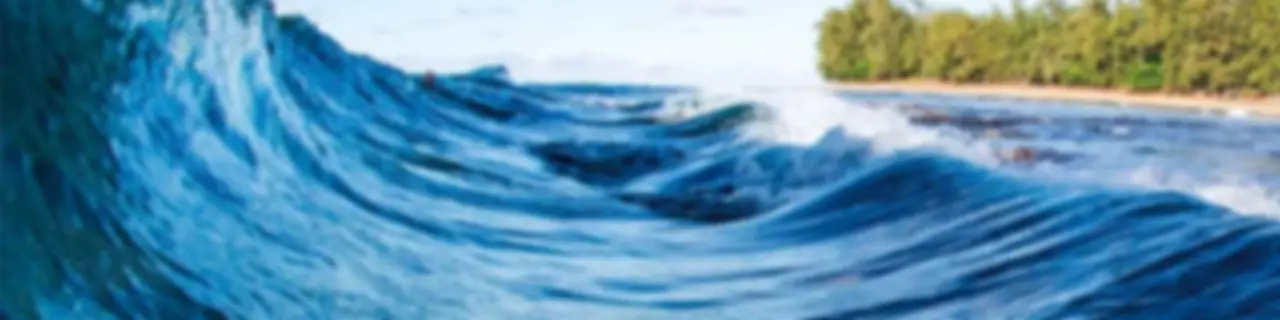 Deep Dive Into Water Safety