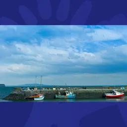 Fish In Irish Waters Move North Due To Climate Change
