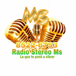 radio stereo ms y yg