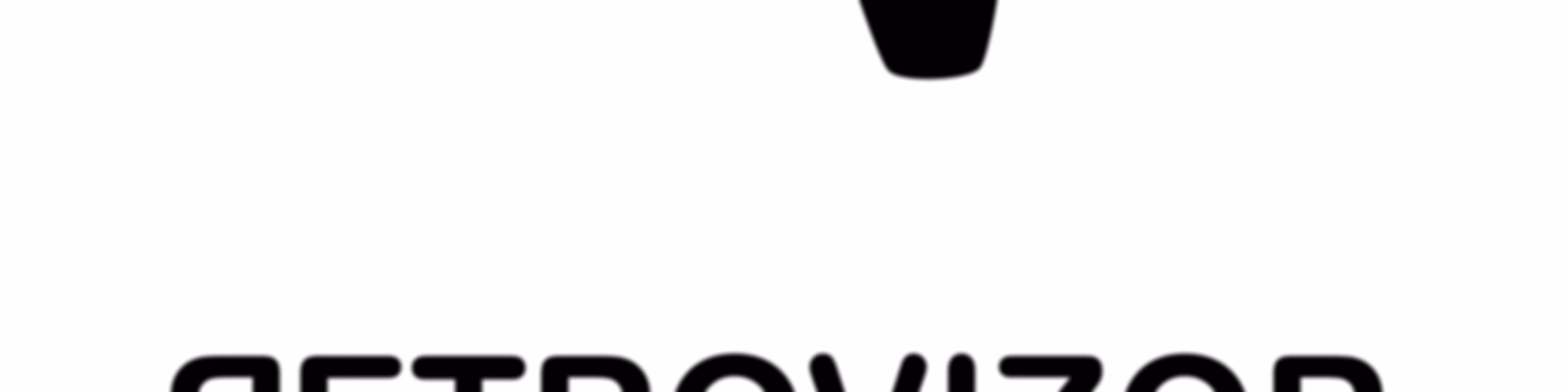 Retrovizor
