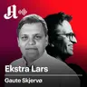 – Voldsfantasiene er nesten uendelige