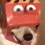 Cadmust