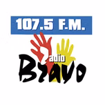 RADIO BRAVO FM