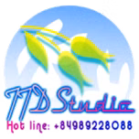 TTD Studio