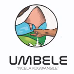 Umbele online business publication of Likhanyile Media