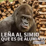 LM1110 - Respuesta a Carlos Castillo