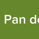 Radio Pan de vida