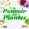 Rediffusion : La Détox