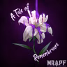 A Tale of Remembrance | Episode 12 | Beneath the Surface