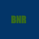 BNR Crime Investigation