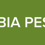 CUMBIA PESADA