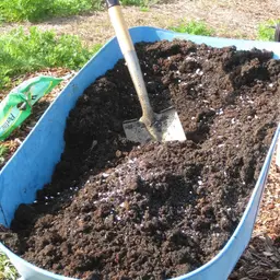 More Heat-Beating Garden Tips