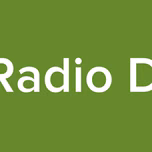 Elsy Radio Digital