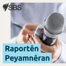 Hewlêr û Silêmanî dîsa bûn armanca dron û muşekan