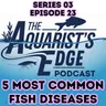 5 Most Common Fish Diseases and How To Treat Them