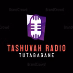 Sureheaven digital radio