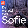 Landschapspijn