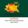 IDEAS PRINCIPALES- Real Decreto 179/2005, de 18 de febrero, sobre prevención de riesgos laborales en la Guardia Civil.