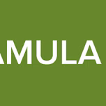 RADIO CHAMULA JULE JULE