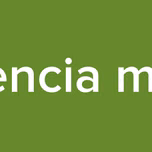 frecuencia musical