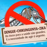 Número de focos do mosquito Aedes aegypti aumenta em São Chico