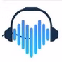 101.1 the Pulse - WLJA-FM