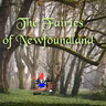 The Fairies of Newfoundland