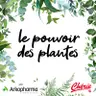 Rediffusion : La Canneberge