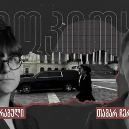 „ივანიშვილს სულ ღალატი ელანდება, წნეხის ქვეშ მყოფს პარანოია აქვს“ - თამარ ჩერგოლეიშვილი - გამოკითხვა