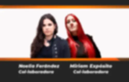 Metalizate