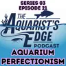 Aquarium Perfectionism: How to Stop Comparing Your Fish Tank and Enjoy the Hobby Again
