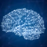 The Algorithmic Mind and the Limits of Computation