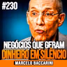 Marcelo Baccarini | NEGÓCIOS QUE GERAM DINHEIRO EM SILÊNCIO