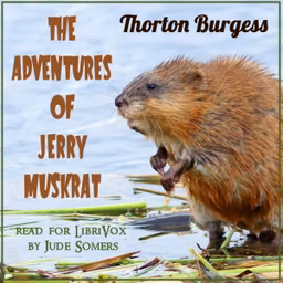 Adventures of Jerry Muskrat (Version 2), The by Thornton W. Burgess (1874 - 1965)