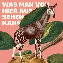 Mariana Leky: Was man von hier aus sehen kann (1/3) - Bestseller-Liebesgeschichte