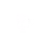 Play Online
