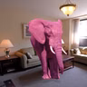 Let’s talk about the Pink Elephant in the room, shall we?