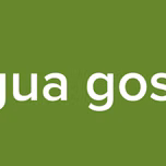 tingua gospel