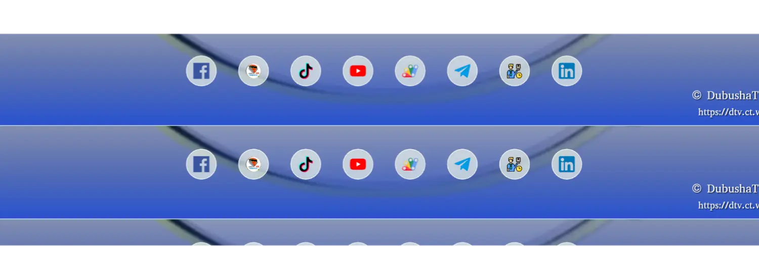 FM Multimedia