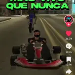 Ratas de Palmito