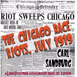 Chicago Race Riots, July 1919